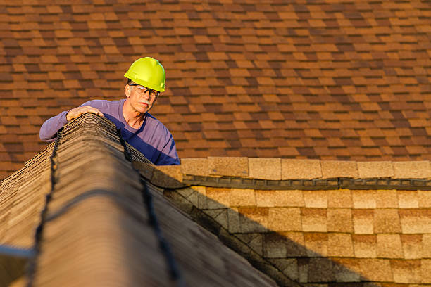 Best Roof Gutter Cleaning  in Bridgeton, MO